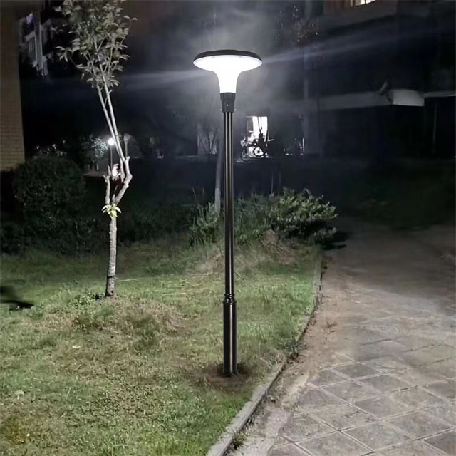 30W All in One Solar Courtyard Light for Park