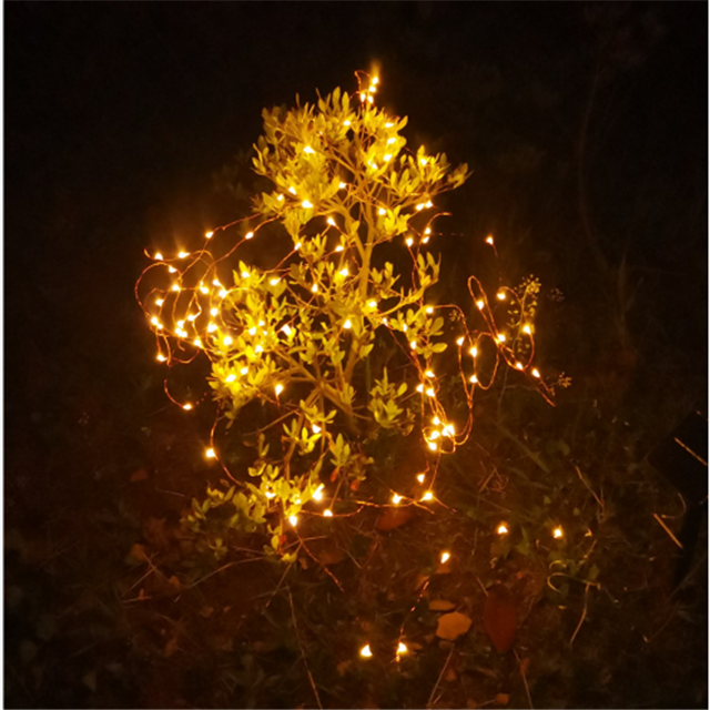 Solar Led string lights for Christmas (3)