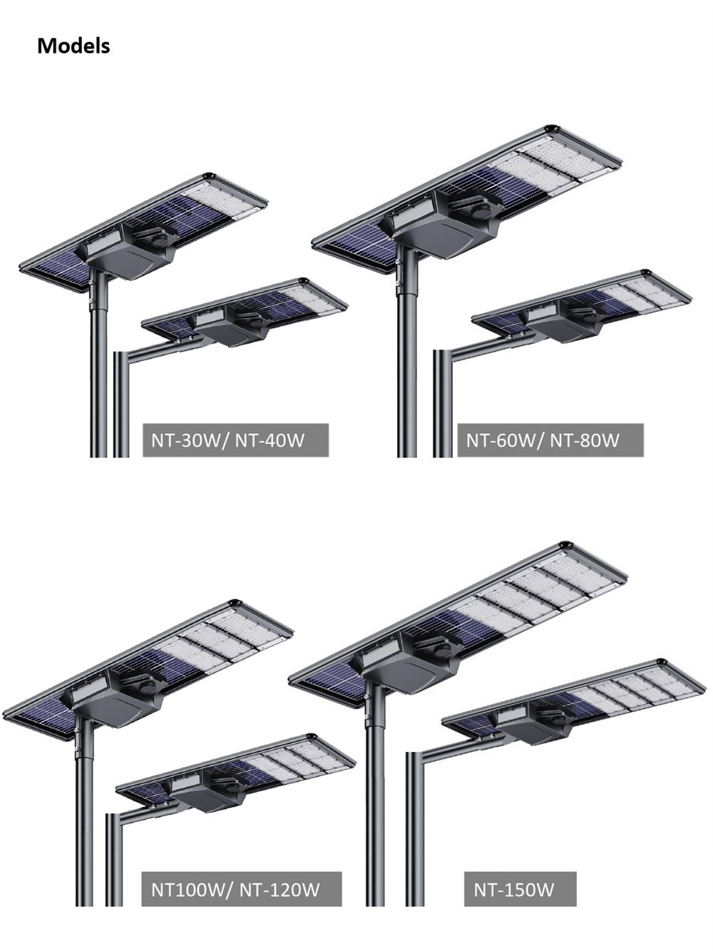 SPEC NT solar street light (3)