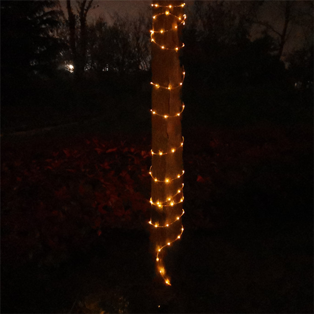 outdoor solar string lights for Christmas (1)