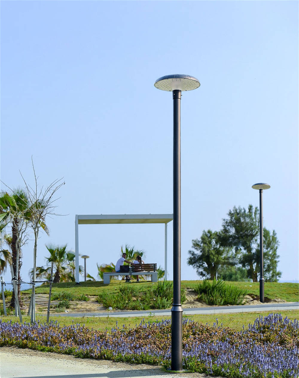 SCL-TT566 (4)