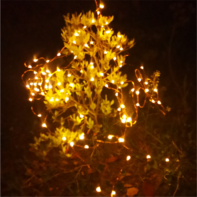 Solar Led string lights for Christmas (2)