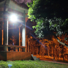 80W Garden Solar Spot Light with Motion Sensor